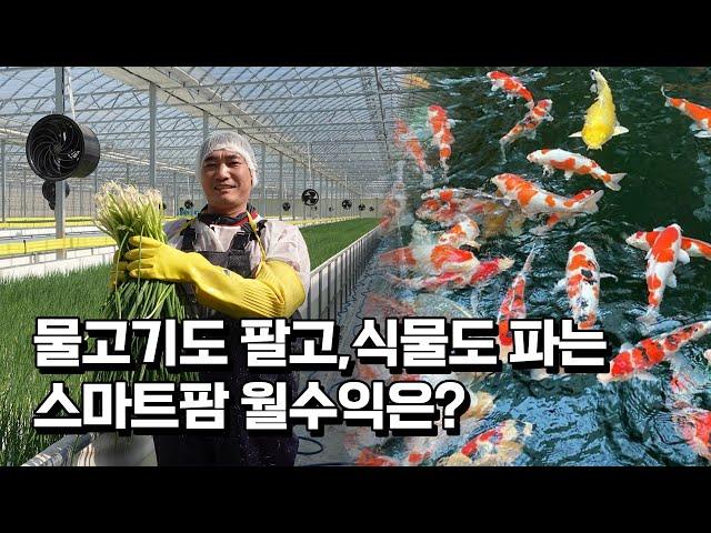 향어와 대파를 함께 키우는 아쿠아포닉스 스마트팜 설치비용과 수익은?