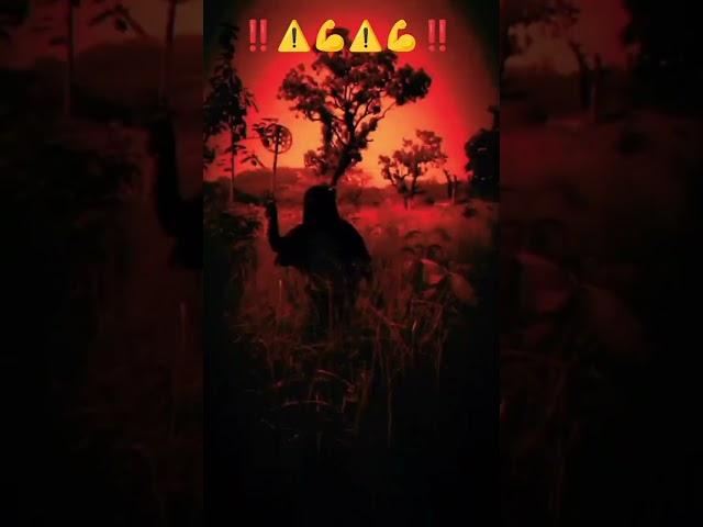 Untitled video