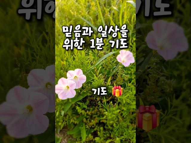 믿음과 일상을 위한 1분 기도 말씀 앞에서 찬양 횡성감리교회 윤상호 목사님 새벽 예배 기도 기도문 성경 읽기 성경 통독 찬양 오디오 바이블 찬송 기도문 예배 시작 대표 기도문 기도