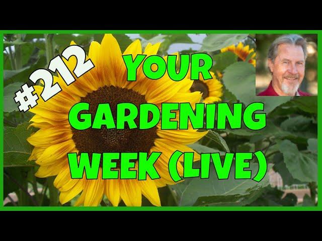 How to Save Money Gardening (Q&A)