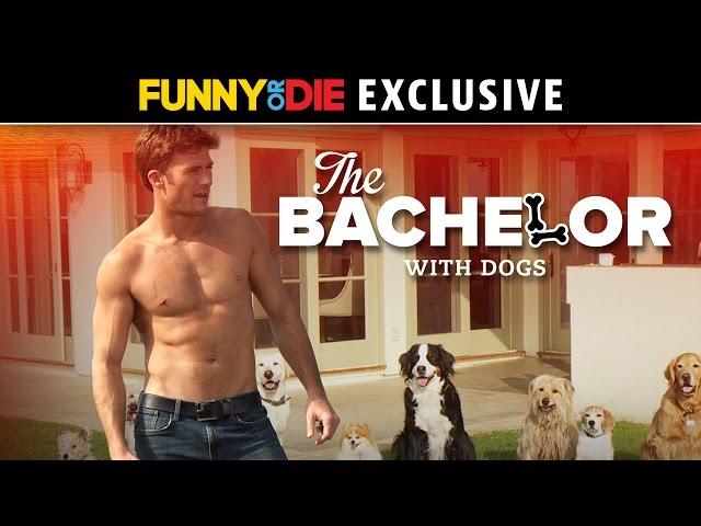 The Bachelor With Dogs with Scott Eastwood