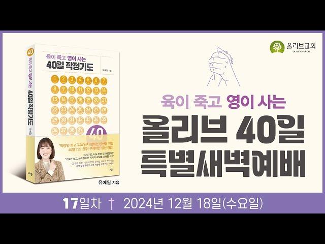 올리브 40일 특별새벽예배 17일차ㅣ24.12.18ㅣ이혜영 목사