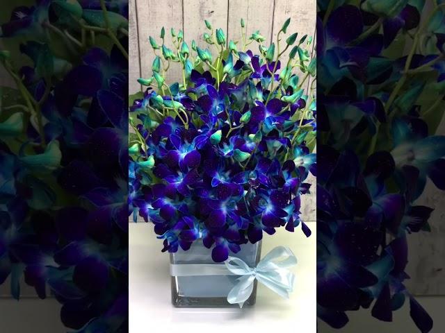 Blue Orchid flower arrangement #floraldesign #relax #floristry #fyp #giftideas #orchidlovers#fypシ