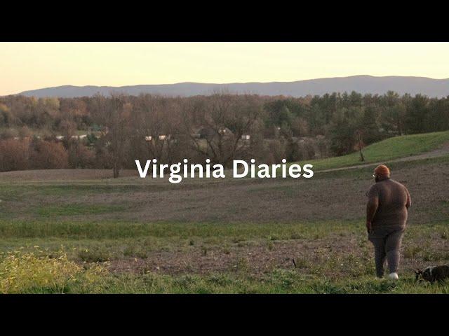 Virginia Diaries: A Road Trip Adventure to an A-Frame Cabin, Airbnb Tour