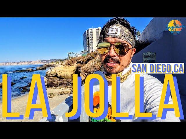 TOP THINGS TO DO IN LA JOLLA CALIFORNIA | San Diego Travel Guide