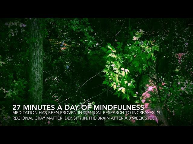The power of meditation and the mind! Increase Regional Gray Matter in your Brain!