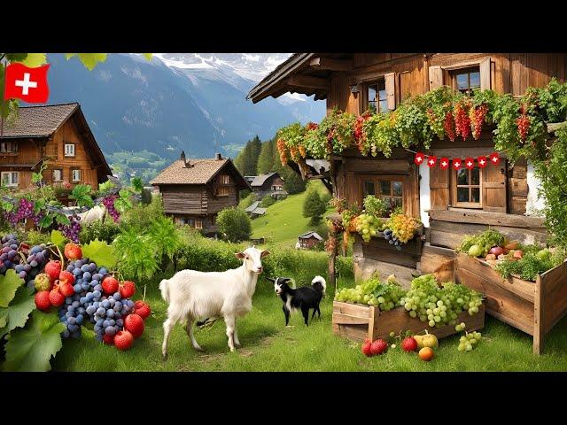 World Famous Heidi Village SwitzerlandHeididorf , Maienfeld _ SWITZERLAND Countryside Life !