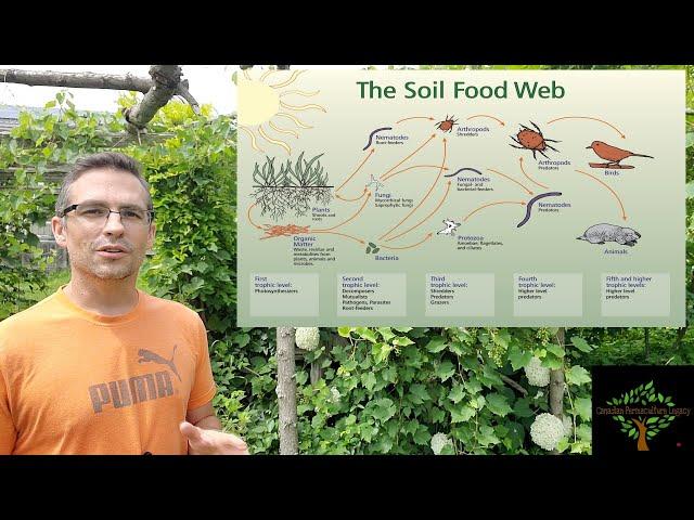 A complete guide to soil microbiology.