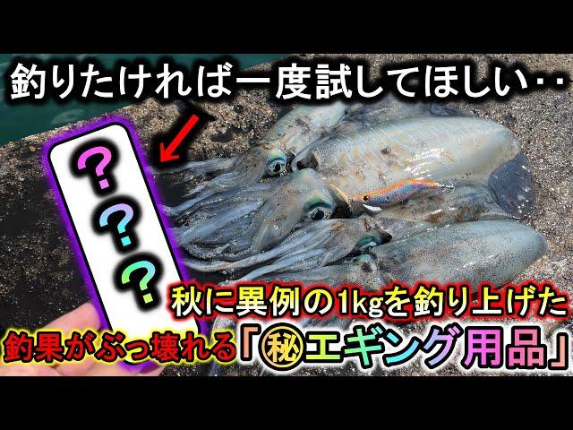 秋に1kg越えや良型が連発するこのエギング用品は釣果がぶっ壊れるので注意が必要です