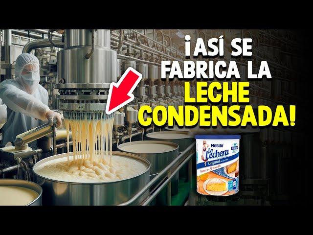 ¿Cómo Se Hace La Leche Condensada? [Proceso En Fábrica]