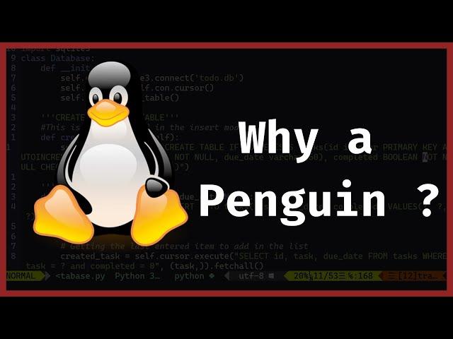 Linus Torvalds: Why Linux Mascot is a Penguin  ?