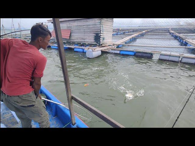 06/01/2025 Trip Mancing at Sangkar Sungai Udang Penang