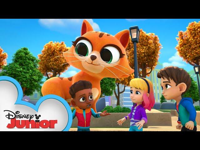 Super-Sized Monster Kitty! | Marvel's Spidey and his Amazing Friends | @disneyjunior