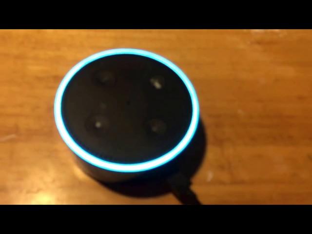 Amazon Echo Dot Review By Unique Reviews