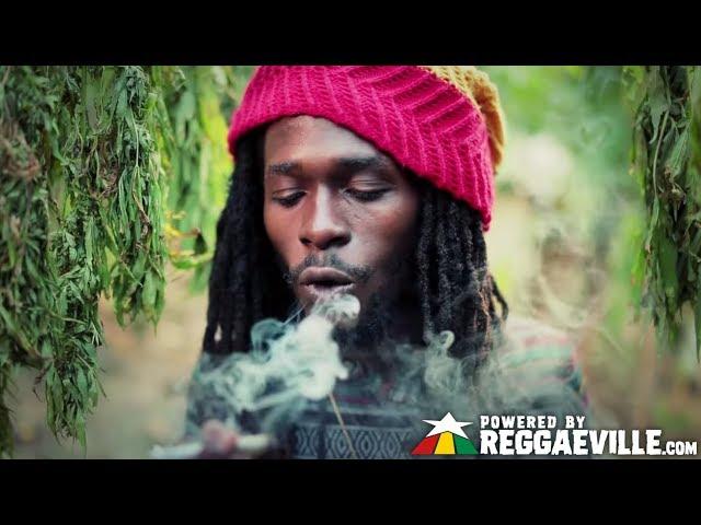 Jesse Royal - Gimmie Likkle / Finally [Official Video 2015]