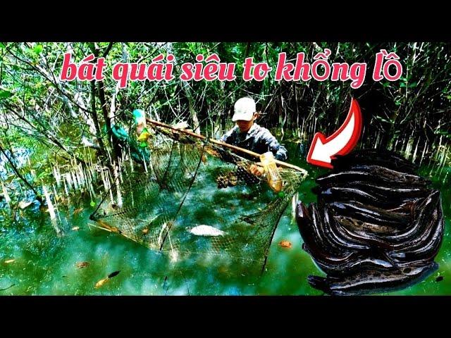 Thăm Bát Quái Siêu To Khổng Lồ Độc Lạ