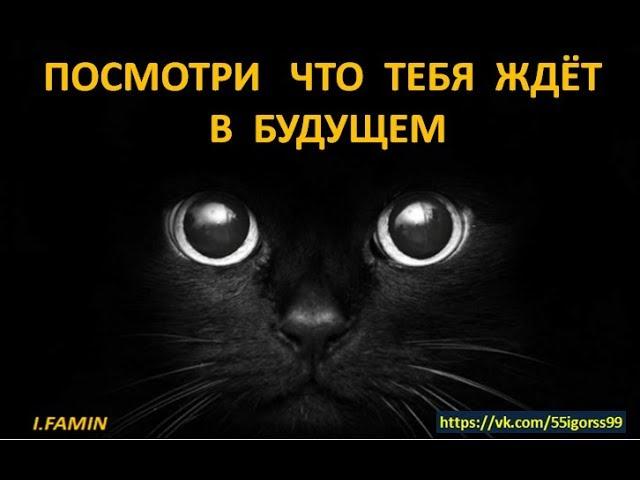 Работа для всех в сети интернет. Как поменять место жительства и стать богатым при помощи PRIZM.