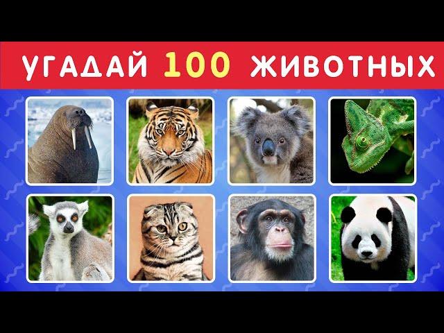 УГАДАЙ ЖИВОТНОЕ ЗА 3 СЕКУНДЫ   УГАДАЙ 100 ЖИВОТНЫХ