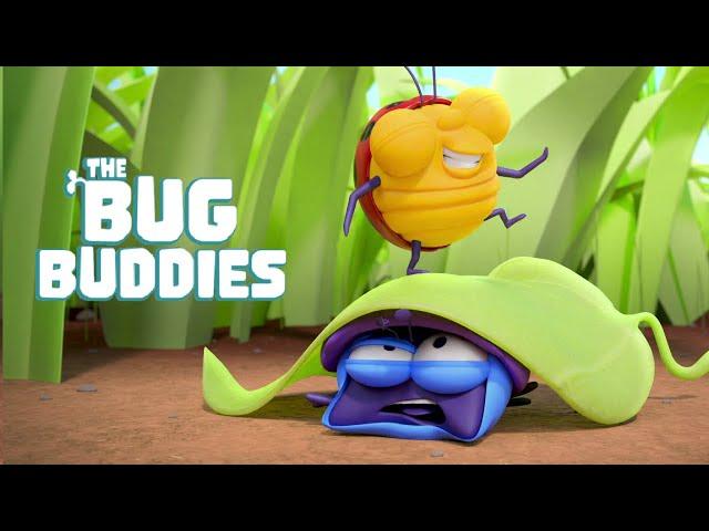 BEETLE BUDDIES in Let's Go Camping... and more!  New Cartoons Every Week | Cartoon for Kids