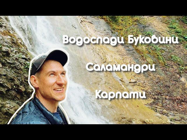 Лавромандри водоспадами Чернівецької області. 8 водоспадів Буковини. Саламандри.