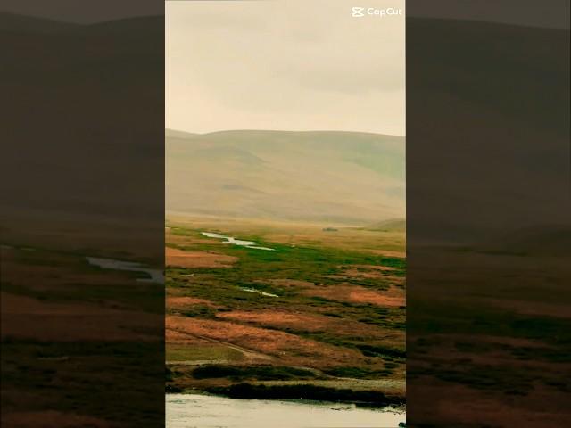 Deosai National Park #deosai #skardu #gilgitbaltistan #pakistan #shorts #ytshorts #river #view ##4k