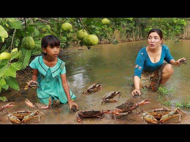 Catch crab and pick guava fruit in rainforest- Cooking crab with red chili so tasty for dinner