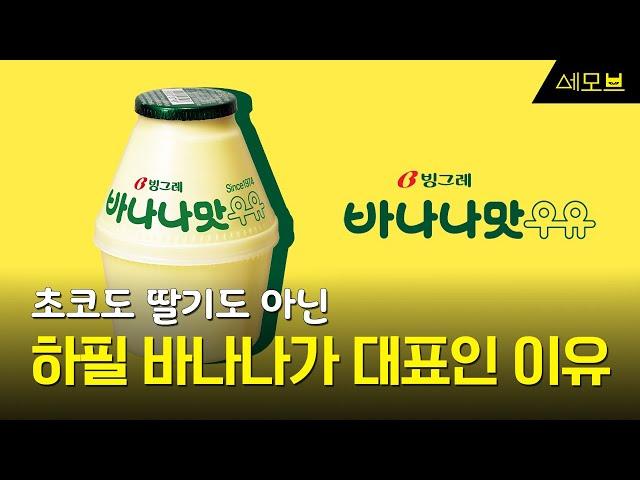 망해가던 빙그레 살린 근본, 당신이 몰랐던 바나나맛우유 이야기 | 세상의 모든 브랜딩 이야기 | 스텔스