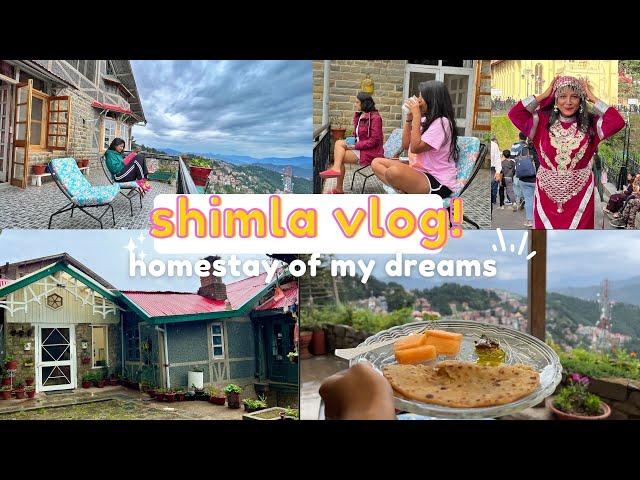 We stayed at a 100 YEAR OLD HOMESTAY IN SHIMLA!! Himachal 2022 Airbnb