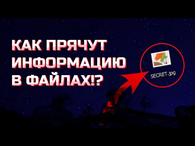 Что такое СТЕГАНОГРАФИЯ? | Как извлечь СКРЫТУЮ информацию из файла?