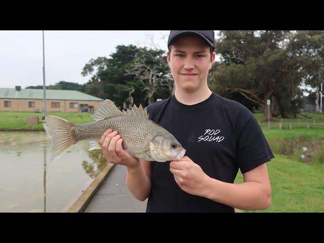 Bass fishing, Yarrambat Lake