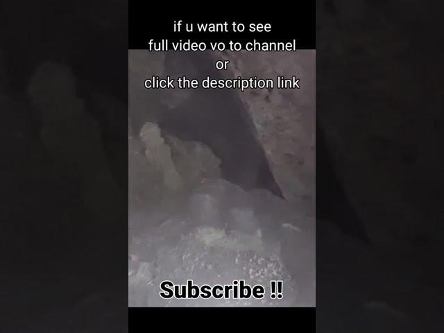https://youtu.be/QRiz9TVrDoQ. click for full video