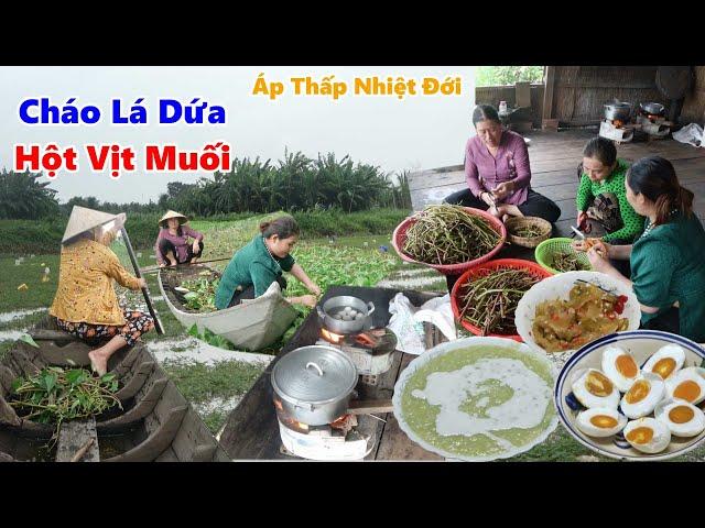 Ảnh Hưởng Áp Thấp Nhiệt Đới Lạnh Quá Nấu Nồi | Cháo Lá Dứa Hột Vịt Muối Dưa Mắm | Húp Ấm Lòng #NSĐQ