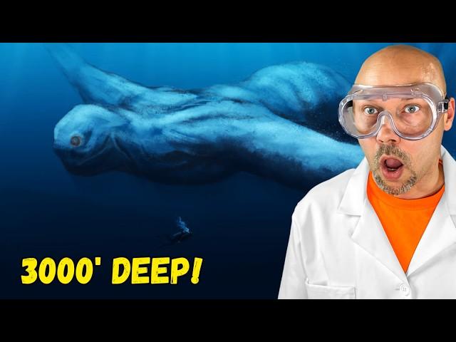 The Ocean is WAY Deeper Than YOU Think