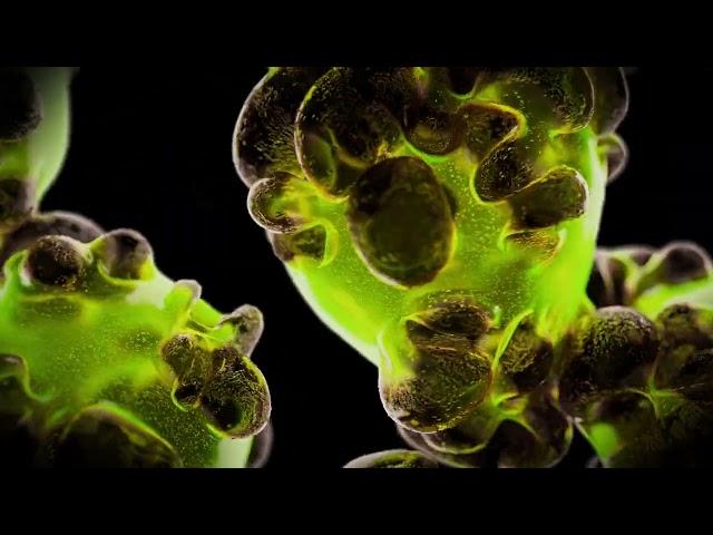 Specimen "D" - CGI 3D animation - produced with Houdini + Redshift