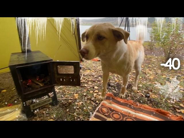 Extreme Winter Camping in Alaska (-40C) Winter Camping Hot Tent | Alone with My Dog in Forest