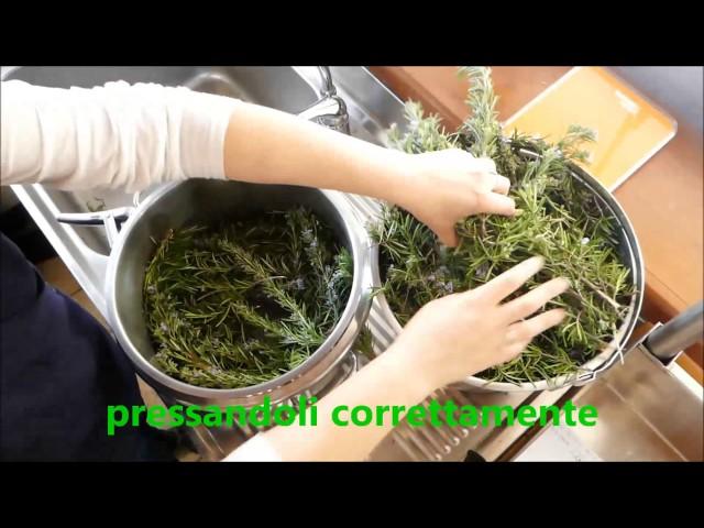 Distillazione olio essenziale Rosmarino - In Herba