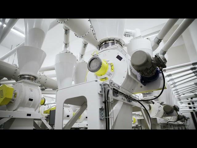 Automating America’s Largest Wheat Protein Facility | Kice Automation