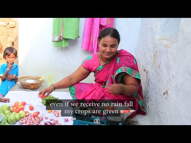 Zero-Budget Natural Farming in Andhra Pradesh, India