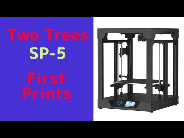 Two Trees SP-5 3D Printer First Print!