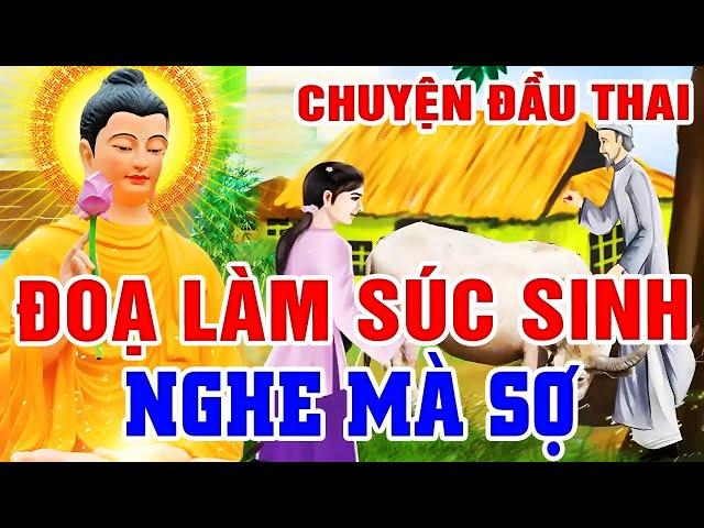 Nhân Quả Không Chừa Ai, SỐNG ÁC ĐOẠ LÀM SÚC SINH Nghe Mà Sợ - Gieo Nhân Gặt Quả .. Ác Giả Ác Báo