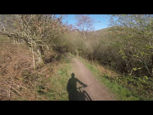 Donkey Trail #Ridewithasmile