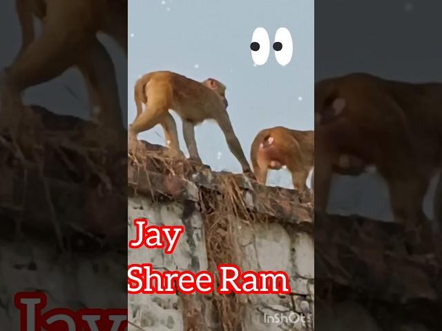 Jay Shree Ram#short#short video viral#viral video#Anshu Biswas#