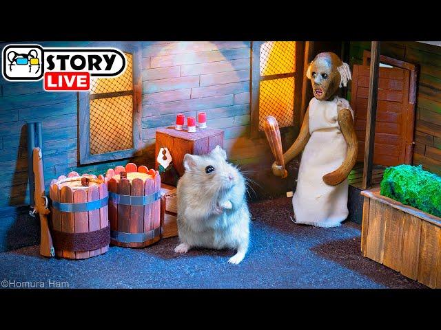 Hamster survived 24 hours in Granny's Scary House  Homura Ham Pets