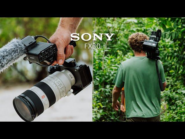 My first 30 days with the Sony FX30