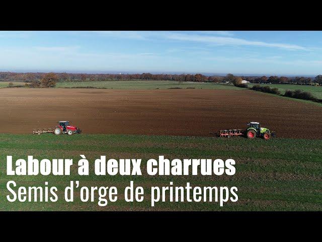 Labour : Qu'est-ce que c'est gras !