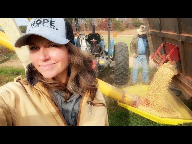 Soybeans Are Done! Hurricane Damage Worse Than We Thought 