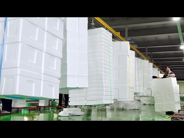 How Korea’s Largest Styrofoam Box Factory Mass Produces Millions of Foam Boxes Every Day