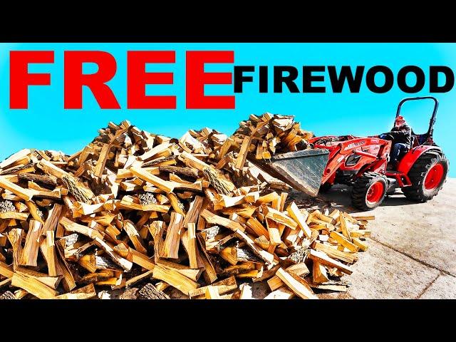 100% FREE ASH FIREWOOD IN THE BIN!