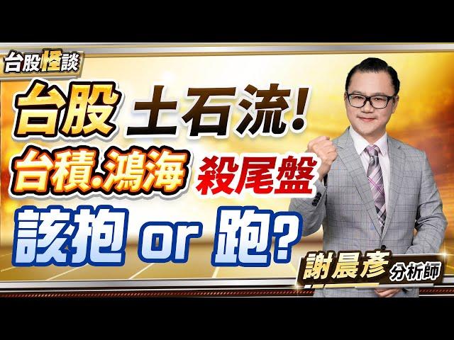 2024.12.20【台股土石流!台積.鴻海殺尾盤 該抱 or 跑?】台股怪談 謝晨彥分析師