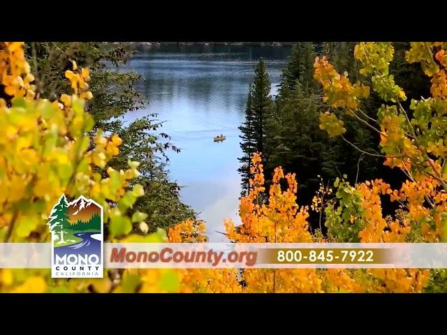 Mono County Fall Colors